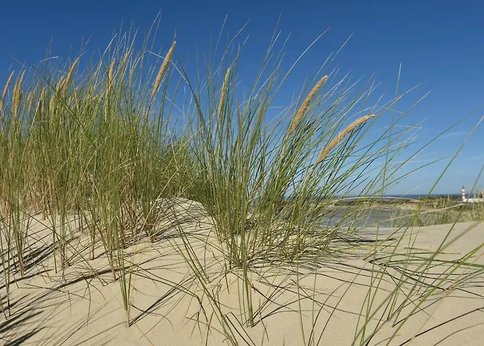 Face Mer, Centre De L'esplanade Apartment Berck