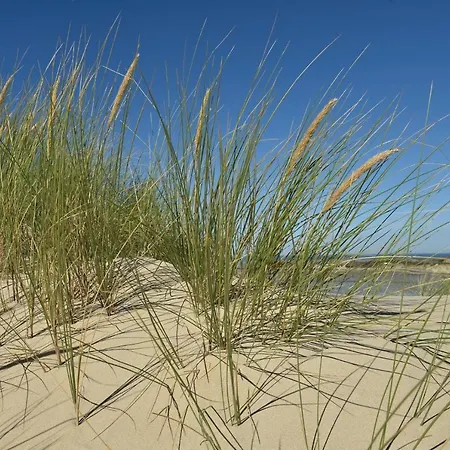 Face Mer, Centre De L'esplanade Апартаменты Berck