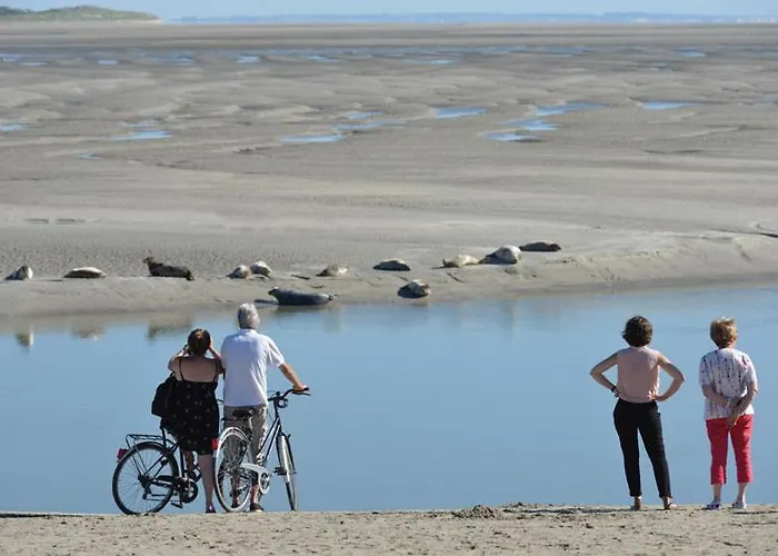 Face Mer, Centre De L'esplanade * Berck